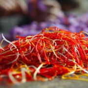 Saffron Harvested In Kashmir